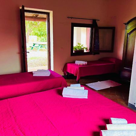 Agriturismo Conca' E Janas Dorgali Værelse billede