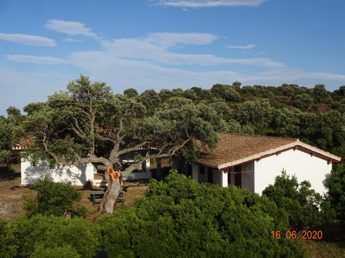 Agriturismo Conca' E Janas Dorgali Eksteriør billede