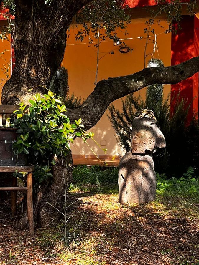 Agriturismo Conca' E Janas Dorgali Eksteriør billede