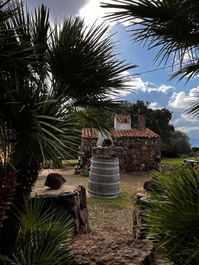 Agriturismo Conca' E Janas Dorgali Eksteriør billede
