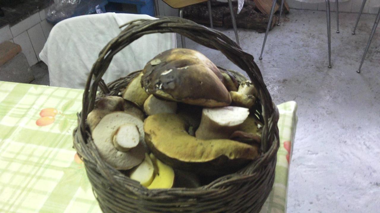 Agriturismo Conca' E Janas Dorgali Eksteriør billede
