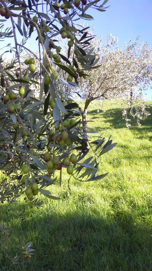 Agriturismo Conca' E Janas Dorgali Eksteriør billede