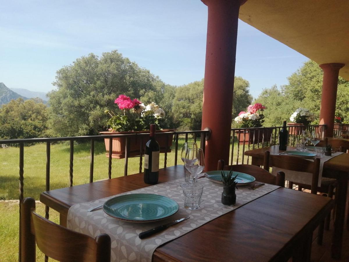 Agriturismo Conca' E Janas Dorgali Eksteriør billede