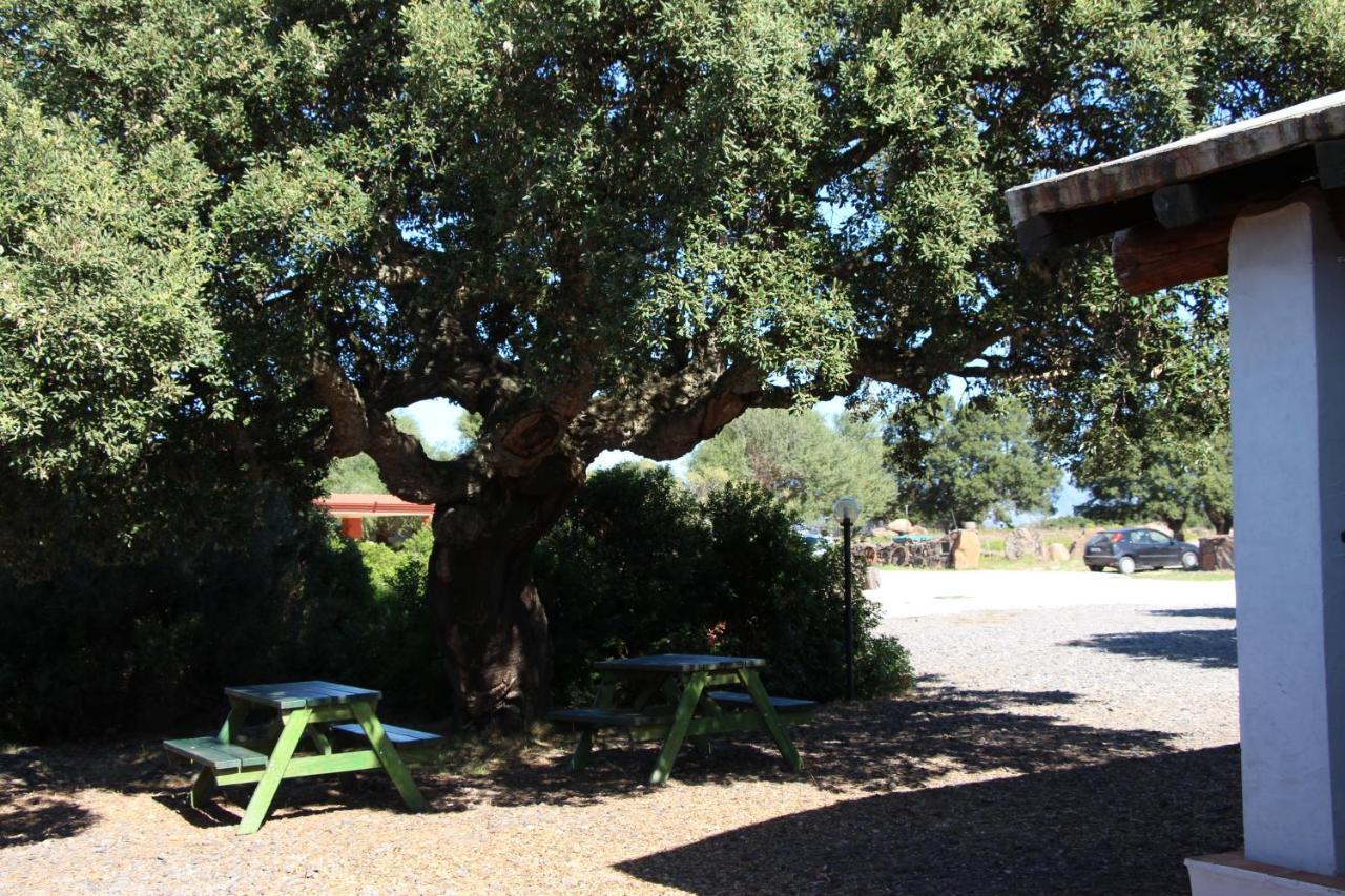 Agriturismo Conca' E Janas Dorgali Eksteriør billede